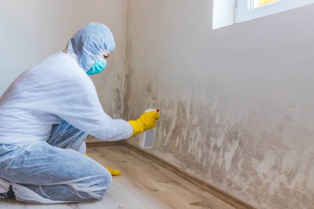 Hvac And Air Duct Mold Remediation inspection of HVAC system in Naples